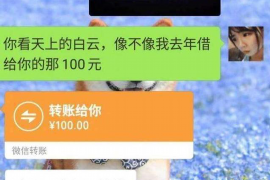 阳江如何避免债务纠纷？专业追讨公司教您应对之策